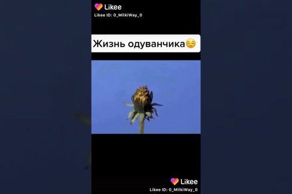 Площадки в даркнете