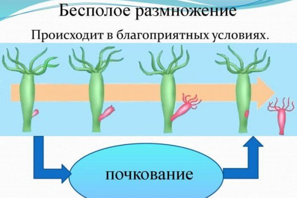 Проверенная ссылка кракен